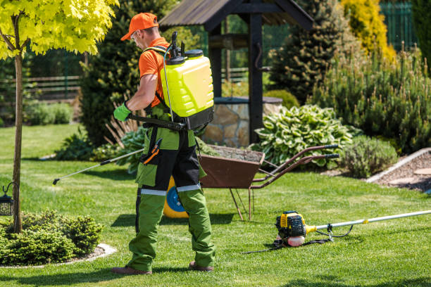 Best Lawn Pest Control  in Fords, NJ